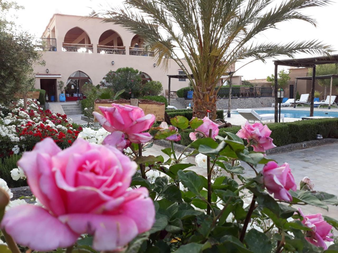 Taloute Ecolodge Skoura Esterno foto